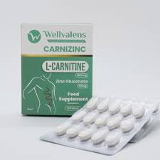 Ilustrasi suplemen L-Carnitine dengan Zinc sebagai pendekatan fat burner metabolik tanpa stimulan untuk wanita, mendukung metabolisme energi dan fungsi enzim sel.